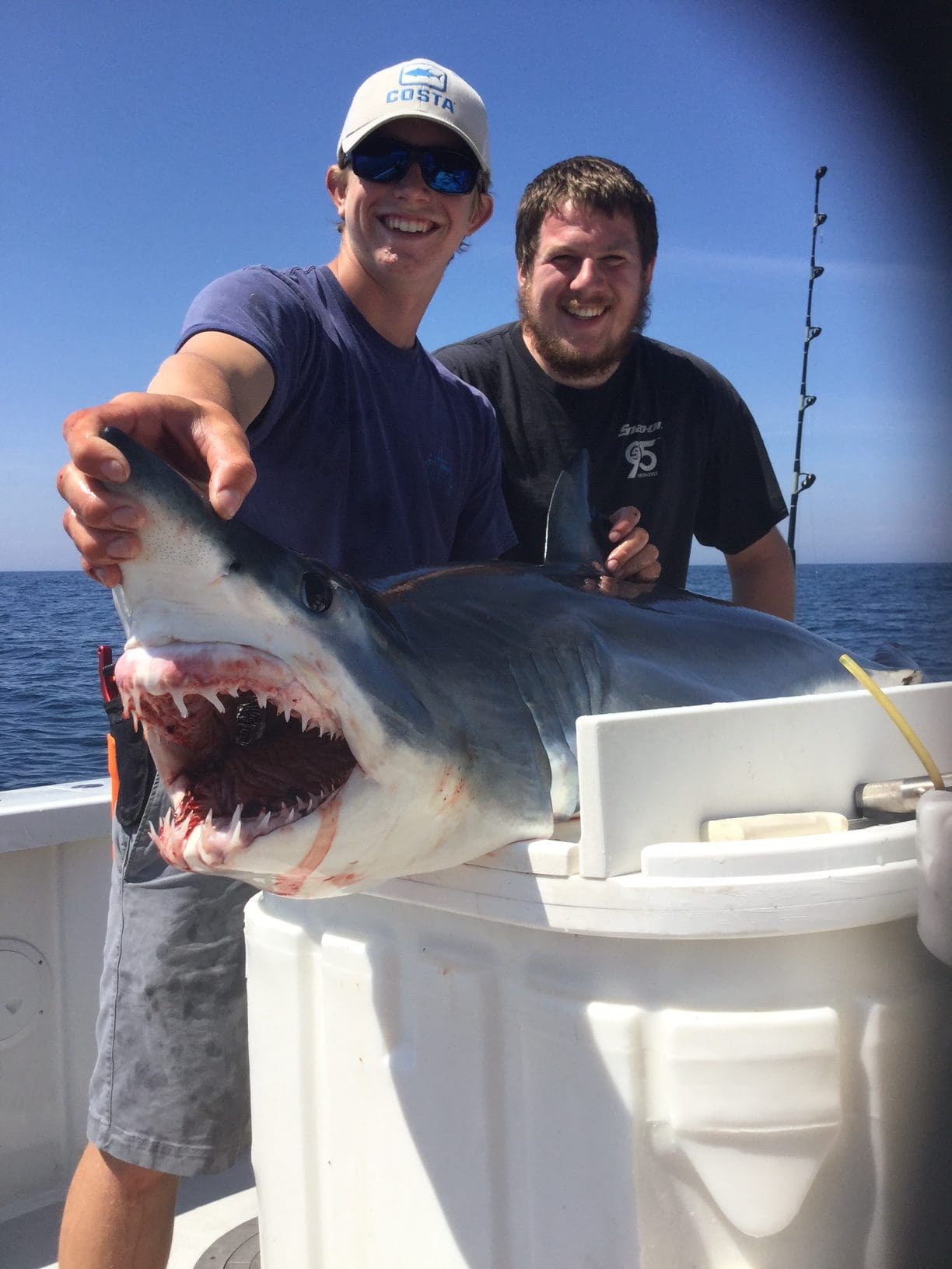 Big Game Shark Fishing, Blue Shark Fishing Charters